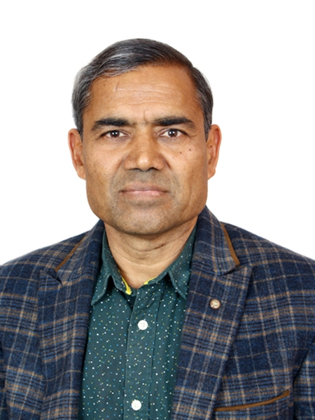 Dileep Jain