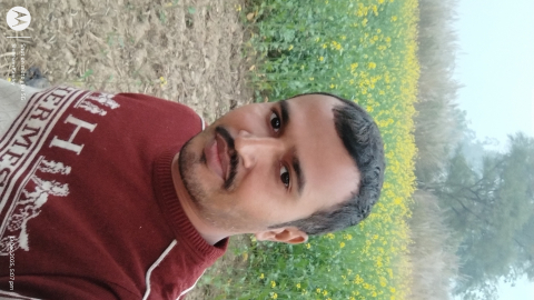 ShubhamKumarpandey
