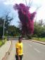 shivank_dalmia