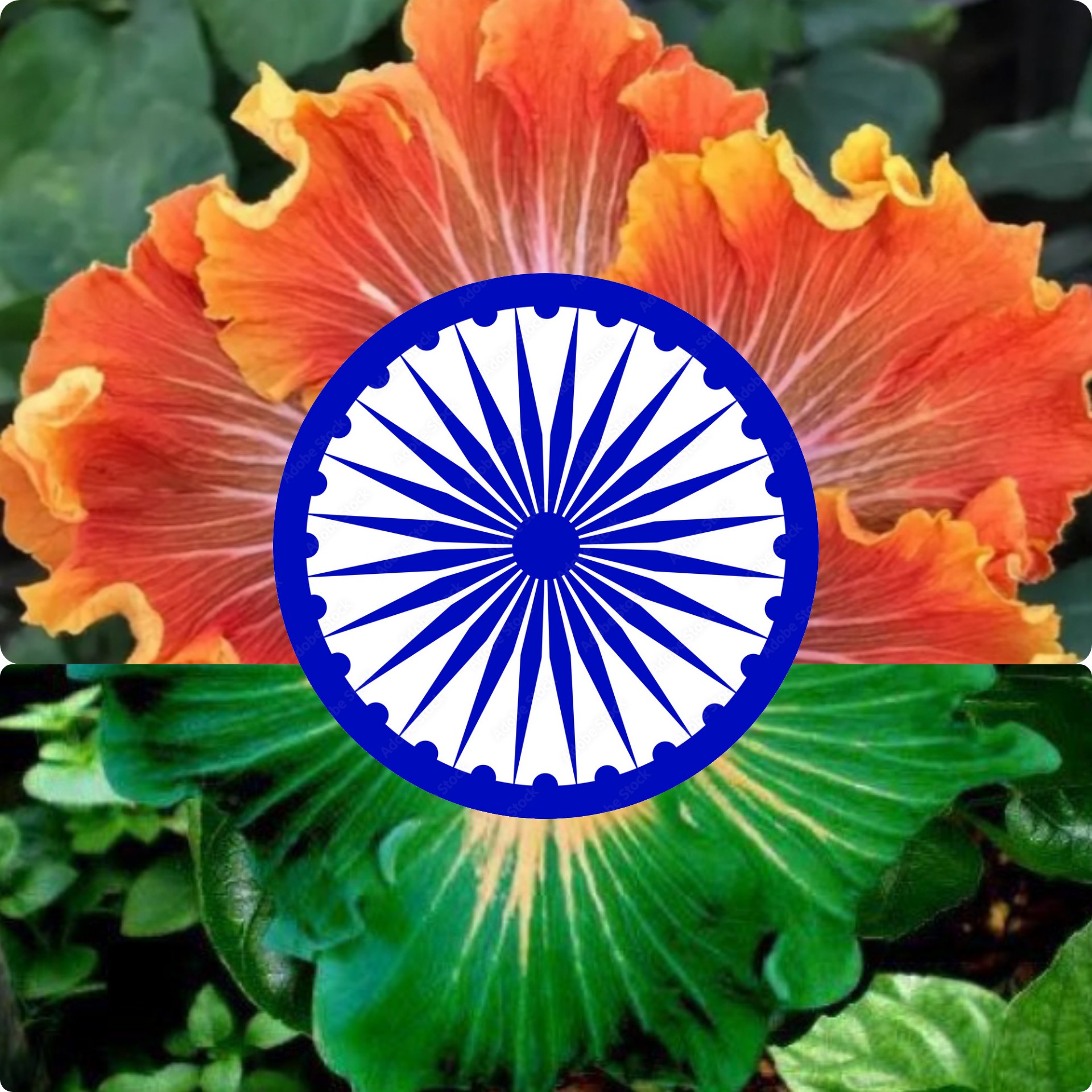 SShyamala