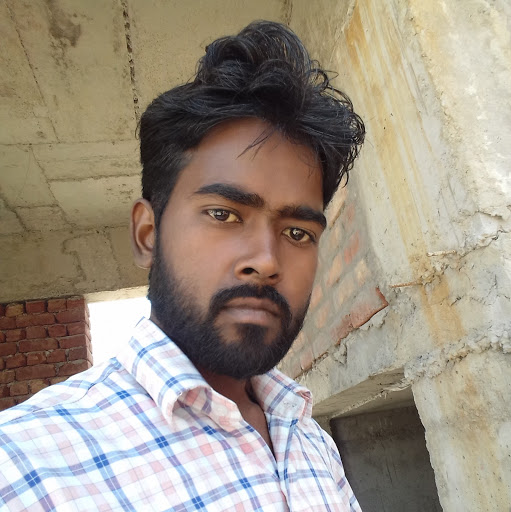 Ravi Ritesh Kumar 8544806976