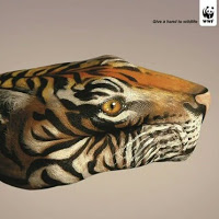 Dikshansh suryawanshi