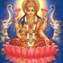 Shailesh Rajput
