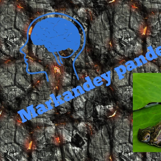 Markandey Pandey