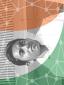 Shiva Yadav