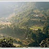 ANSHUL PANT
