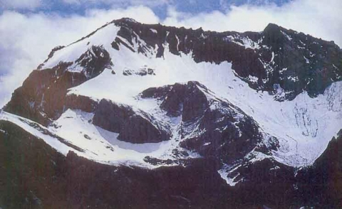 Mitul Gordhanbhai Suvagia