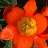 Anupam Jana_10