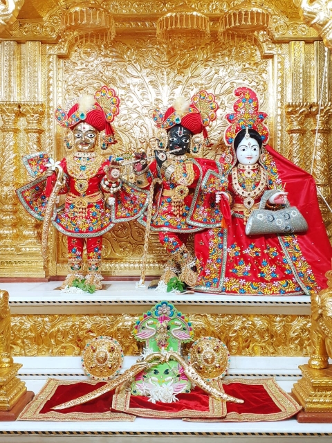 KASHYAP A PANDYA