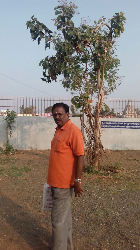 RM RAVINDRAN PILLAI