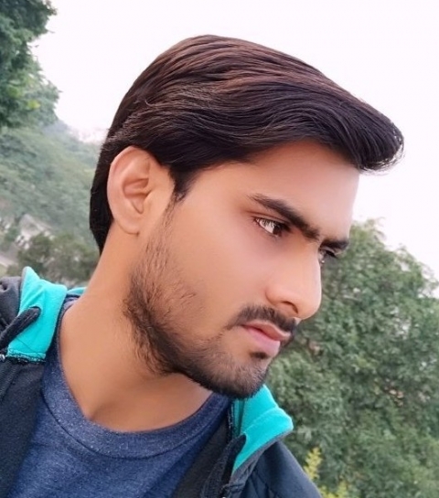 Raju Kumar Maddeshiya