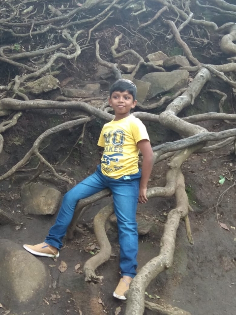 Pranavkrishna H