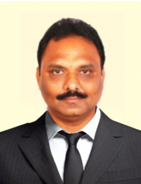 Parthasarathy Vadapalli