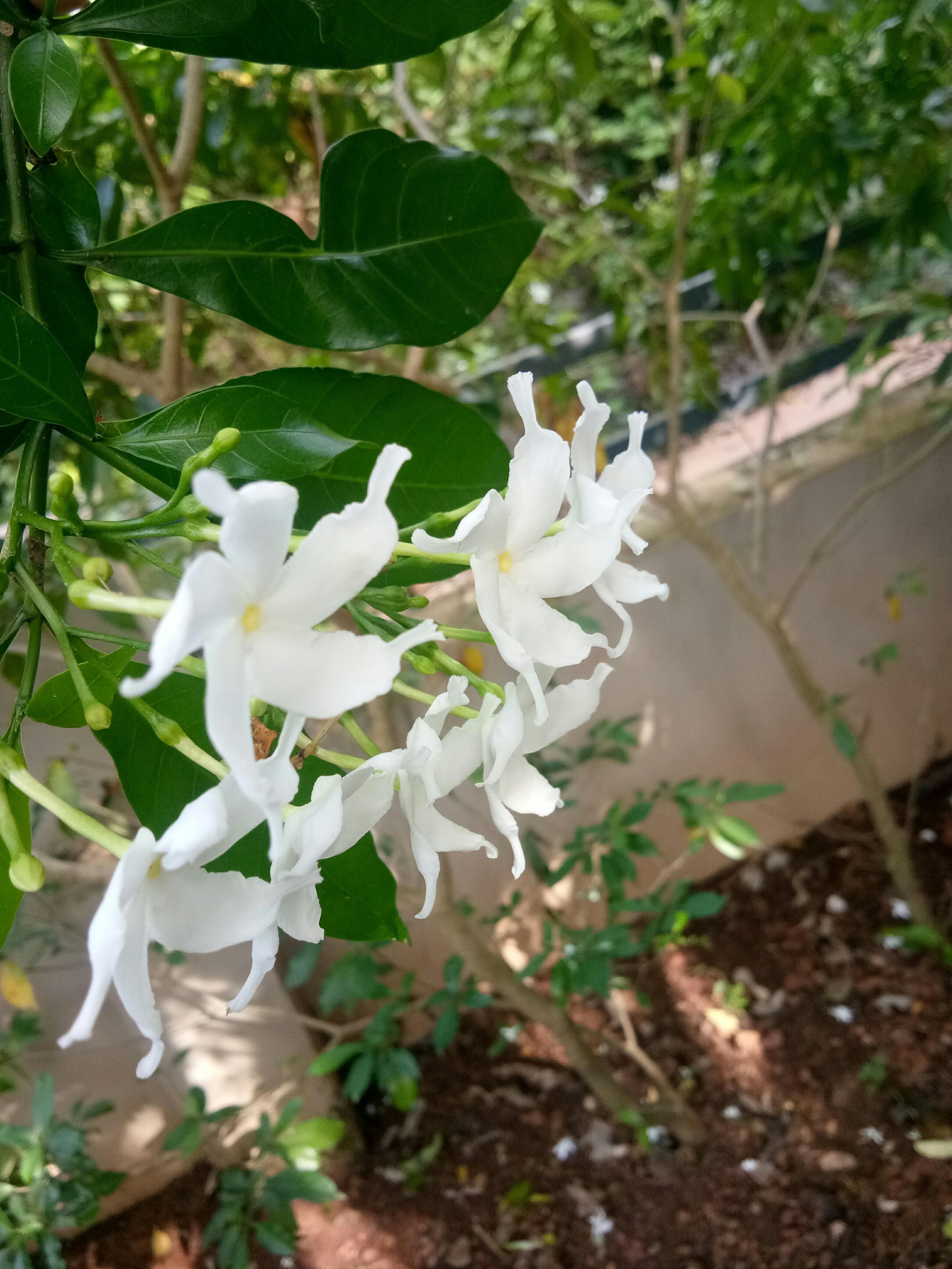 Gayathri Puthiyedath