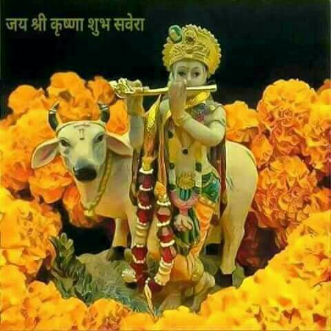 Girdhar sain