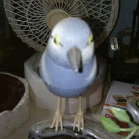 Pradip sinha_2