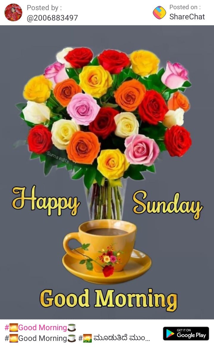 Shivanand S Jeur
