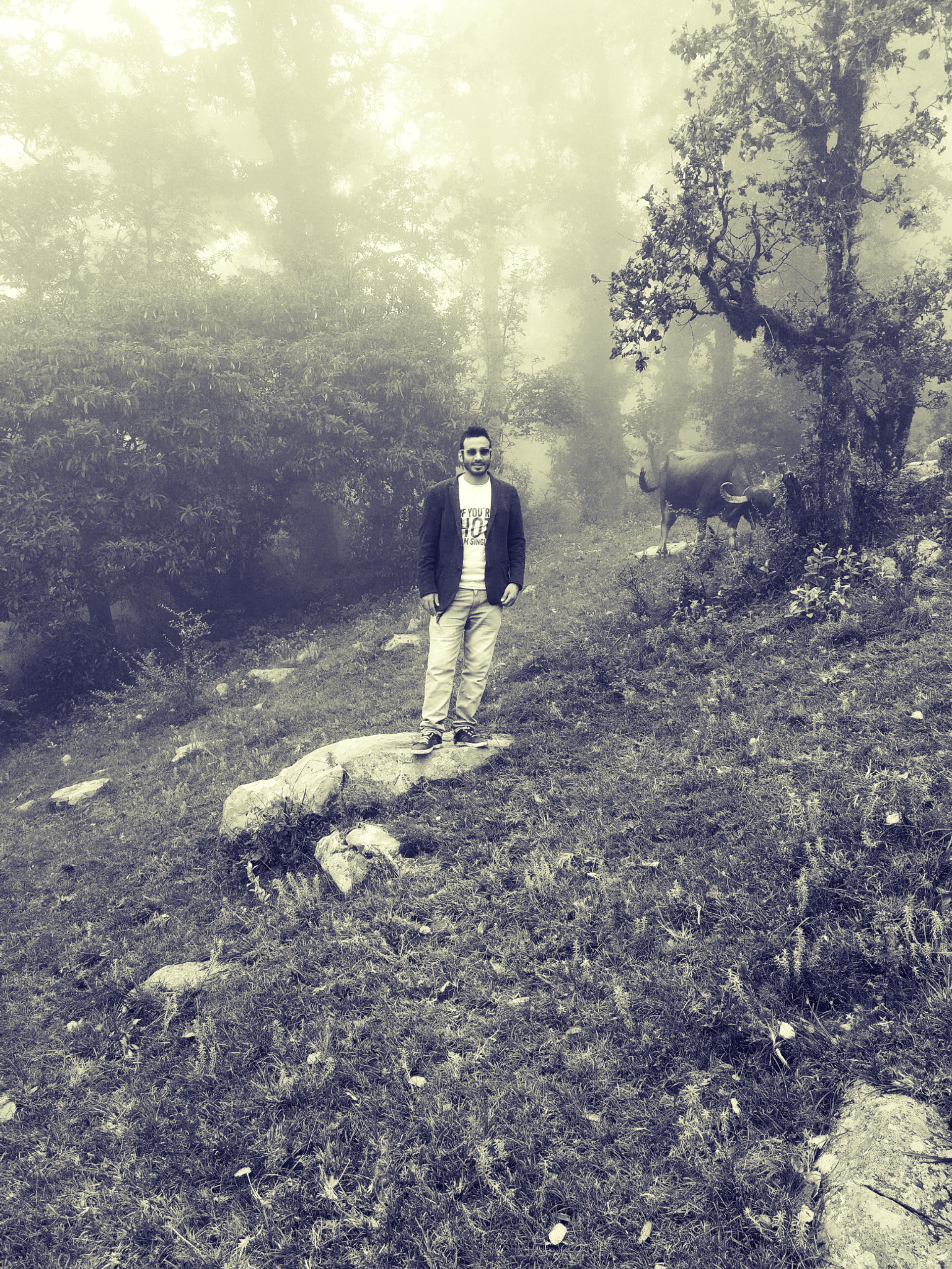 Vikas Nautiyal