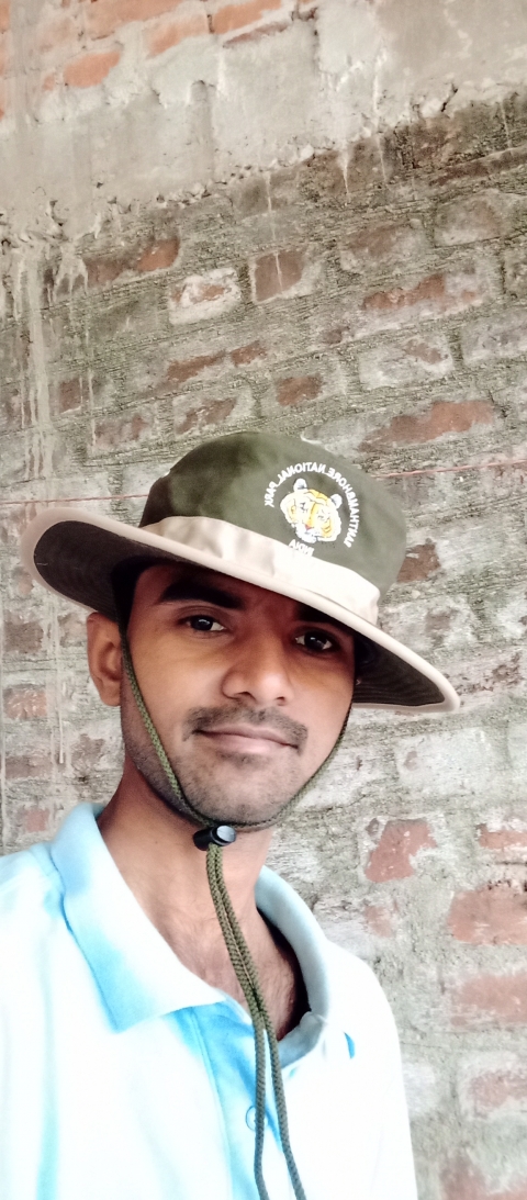 getdilip135@gmail.com