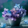 Avansh Awasthi