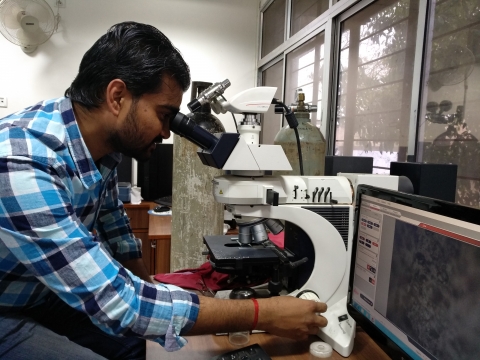 ankush saini