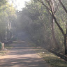 kirthi anand karthikeyan