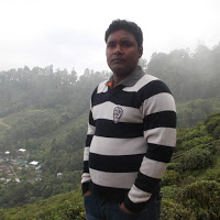 Parthasarathi Das
