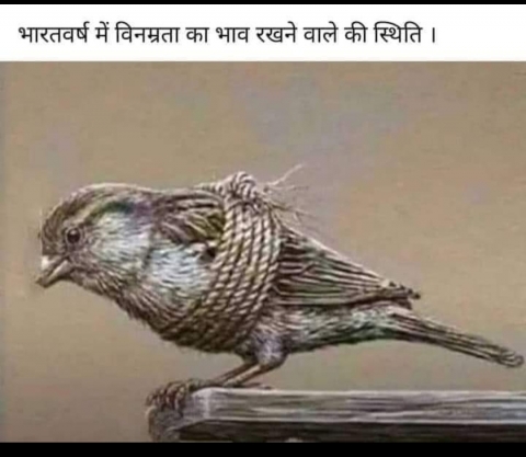 CHANDRA PRABHA KUSHWAHA