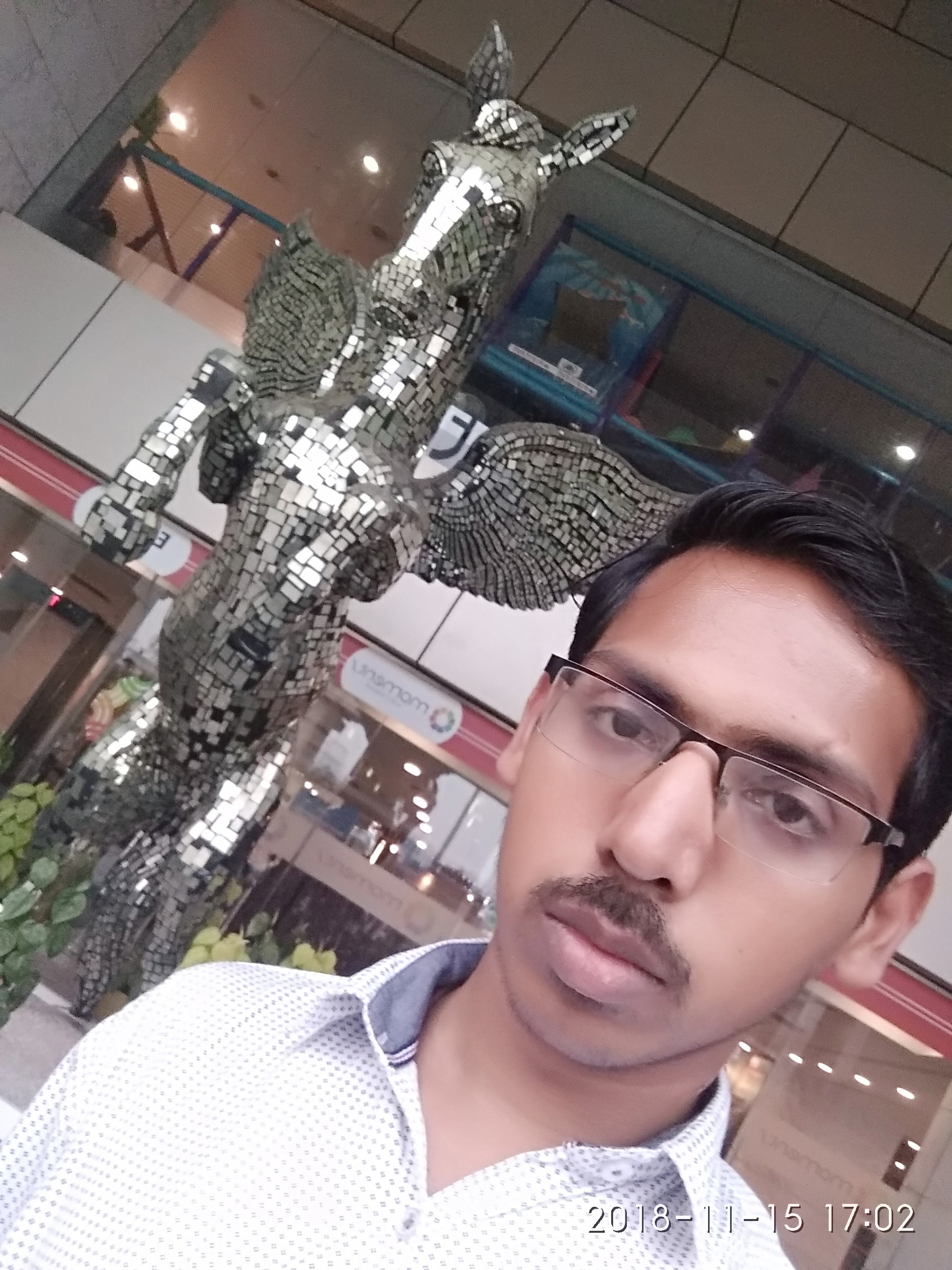Mayank Kumar