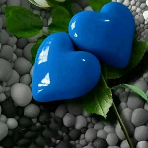 santhosh
