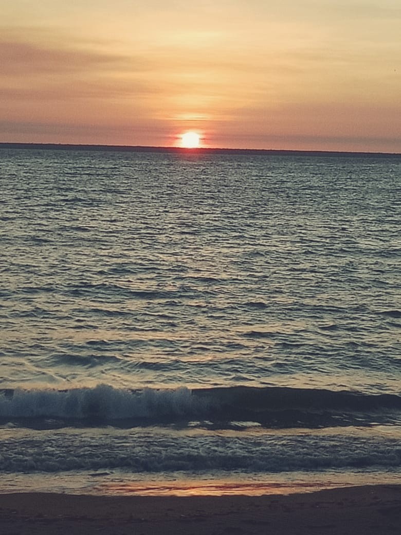 Bhavya Bali