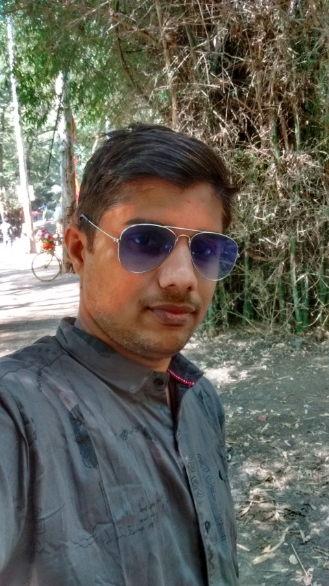 Rahul Navlakhe