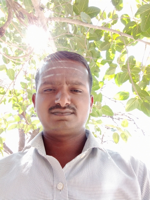 vivek solapure