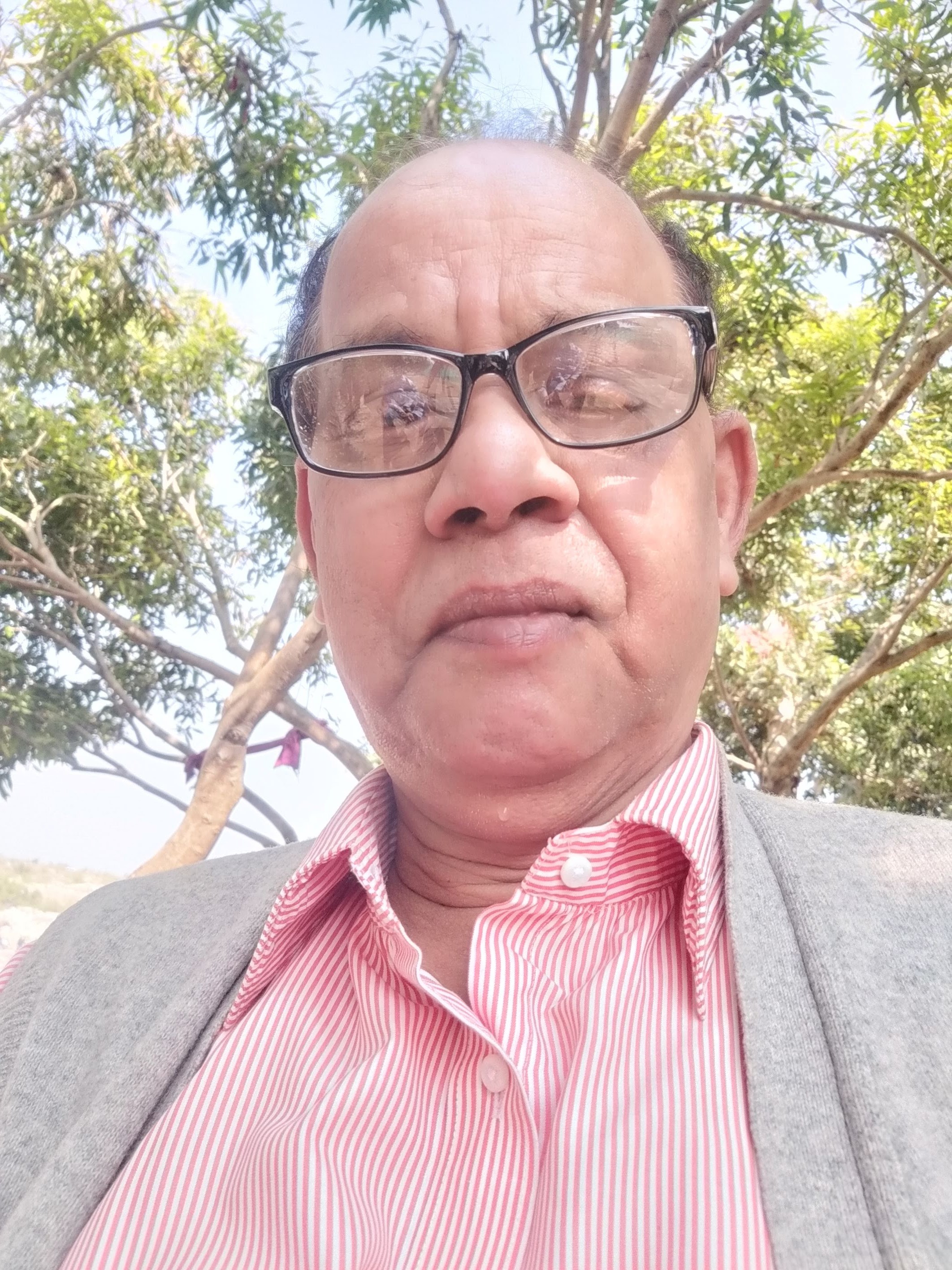 Dina Nath Nigam