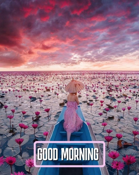 YourName Akansha Kushwaha