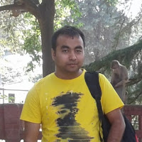 Pulkit Arora