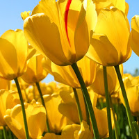 SANDEEP KUMAR_3263