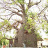 BASAVARAJ MATH