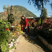 Yamini garg