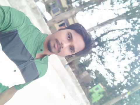 Dipankar Ruidas