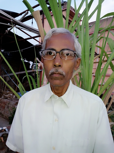 sanjib kumar ray