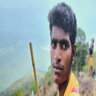 Dhatchanamoorthy k