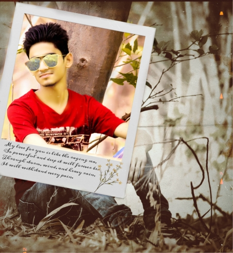 Mohammad Tauqeer