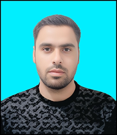 Mir Bashir