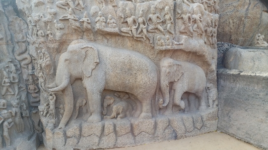 velumuri seshagiri