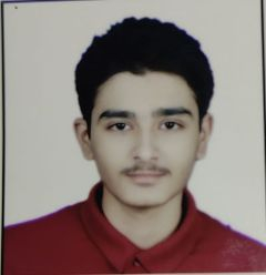 DivyPratapSinghBhadoriya