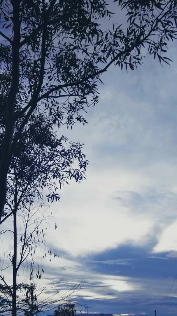 Chandru_264
