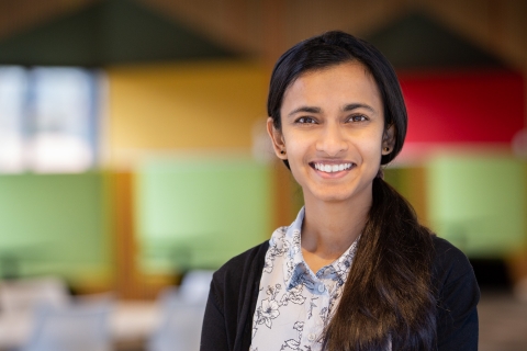 Karthika Krishna Pillai