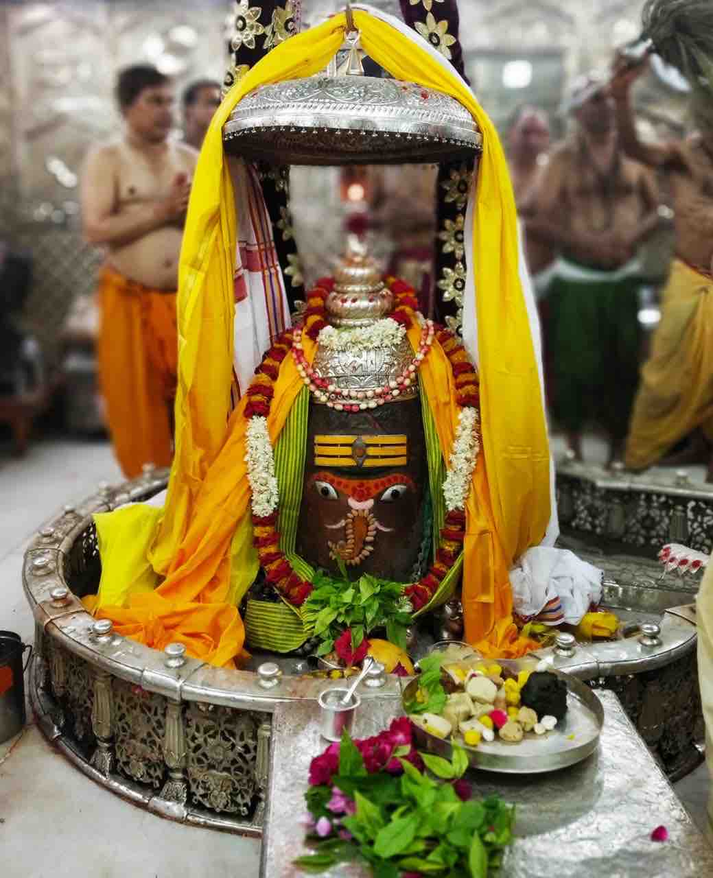 Krishna Kumar Arya