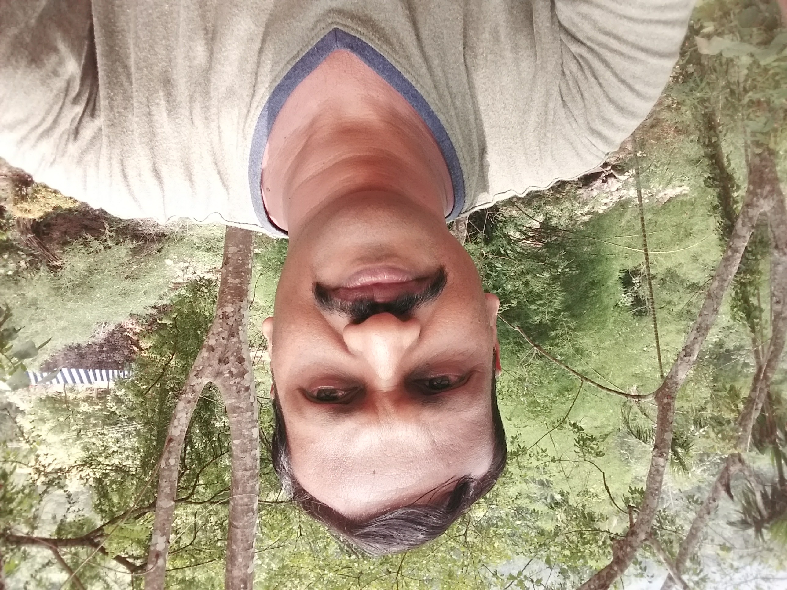 Pradeep P